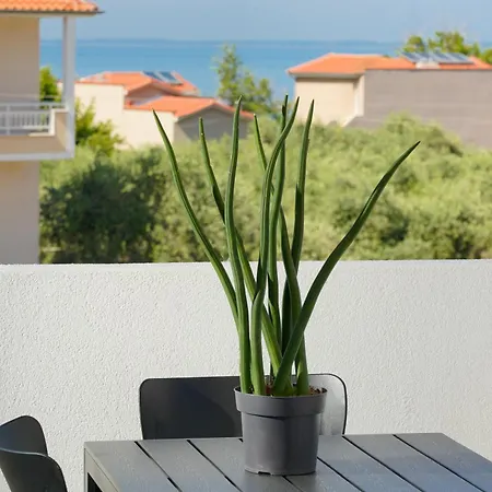 5 By Gd Apartamento